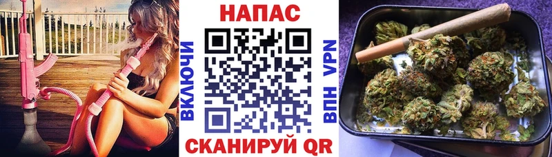 Бошки Шишки семена купить наркоту Ядрин